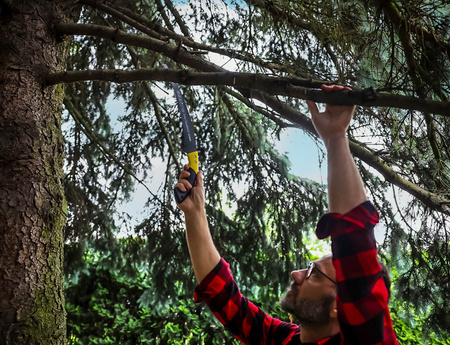 Piła wygięta 35cm z powłoką PTFE i kaburą 65Mn