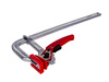 Ścisk zapadkowy kuty typu F 300x100mm (20)