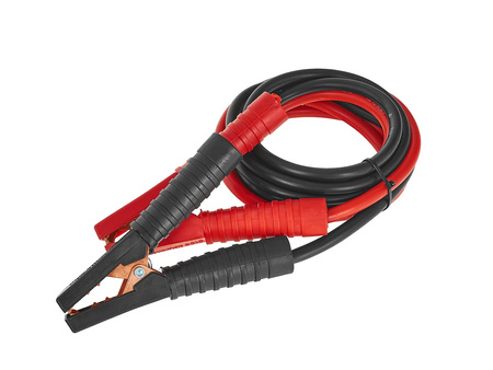 Prostownik z rozruchem 12/24V 200A