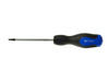 Wkrętak torx t10x100 mm GEKO