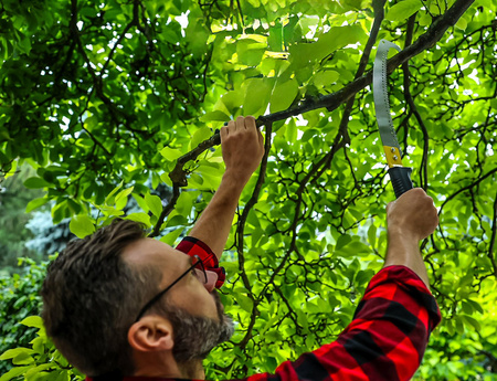 Piła z hakiem 32cm SK5