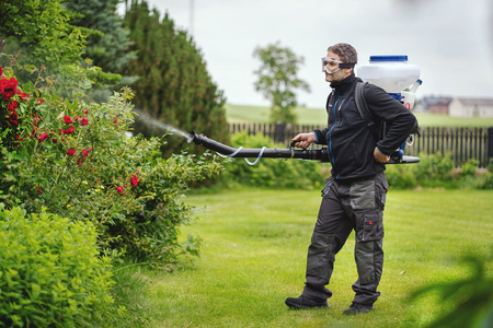 Opryskiwacz spalinowy 26L