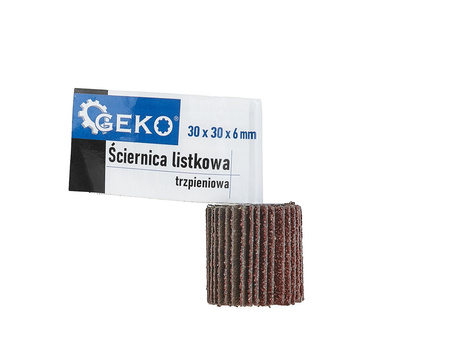 Ściernica listkowa trzpieniowa 30x30X6 P60 (50/100)