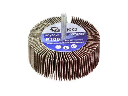 Ściernica listkowa trzpieniowa 80 x 30 x 6 mm  P100