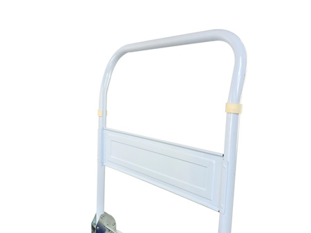 Wózek magazynowy platformowy 300 kg