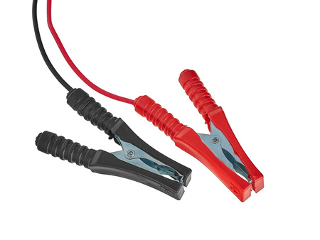 Prostownik z rozruchem 100A  6/12V