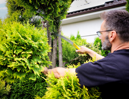 Piła z hakiem 32cm na trzonek SK5